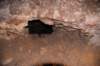dsc_5671_fs_small.jpg