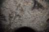 dsc_5676_fs_small.jpg