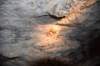 dsc_5677_fs_small.jpg
