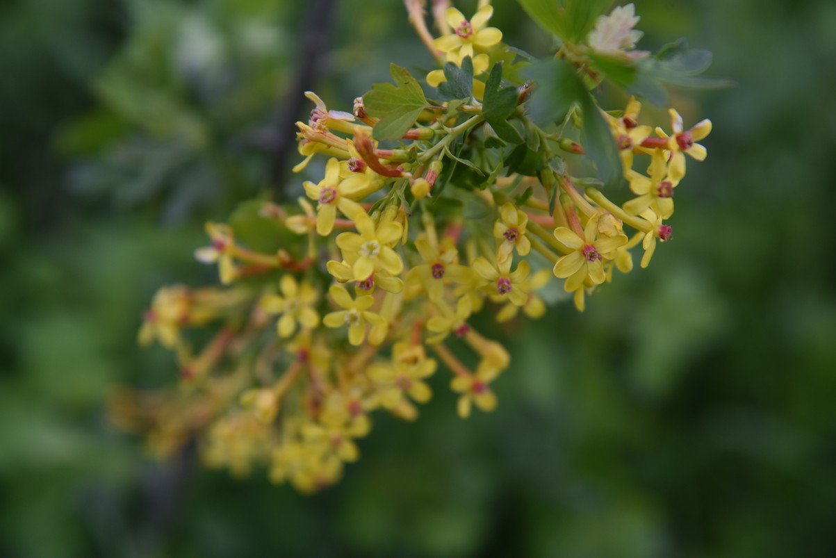 dsc_5680_fs.jpg