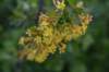 dsc_5680_fs_small.jpg