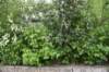 dsc_5683_fs_small.jpg