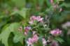 dsc_5684_fs_small.jpg