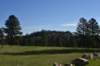 dsc_5765_fs_small.jpg
