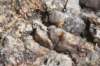 dsc_5855_fs_small.jpg