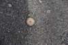 dsc_5886_fs_small.jpg