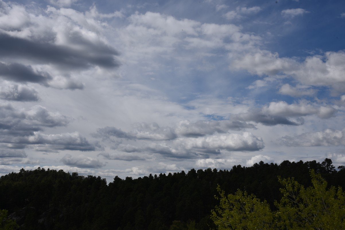 dsc_5902_fs.jpg