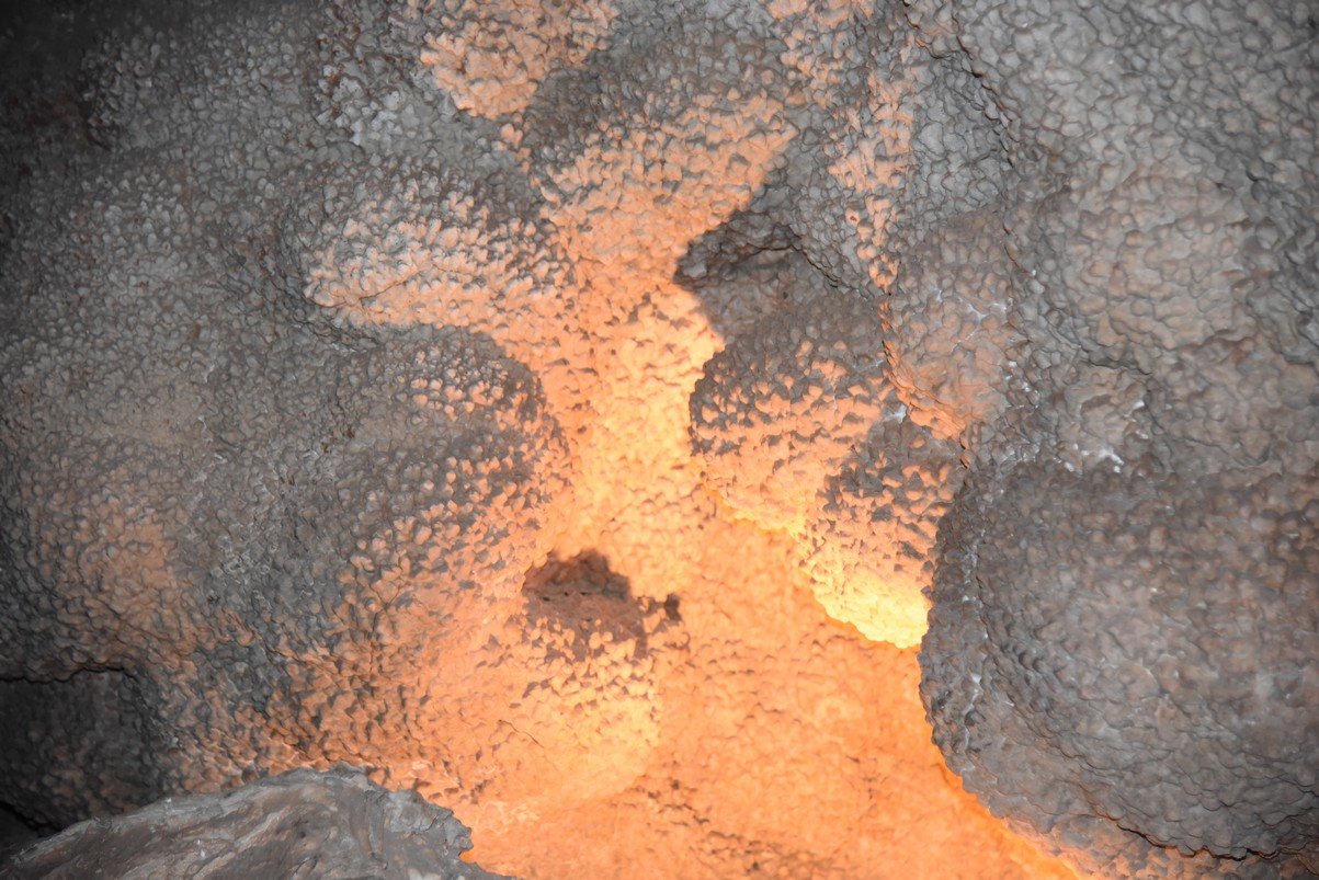 dsc_6017_fs.jpg