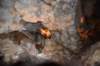 dsc_6022_fs_small.jpg