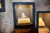 dsc_6060_fs_small.jpg