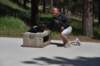 dsc_6064_fs_small.jpg