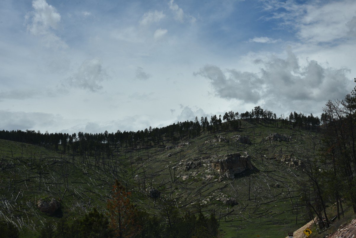 dsc_6067_fs.jpg