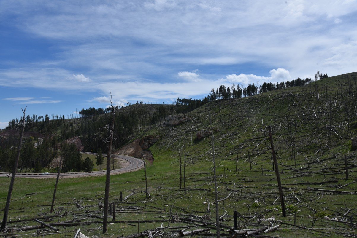 dsc_6086_fs.jpg