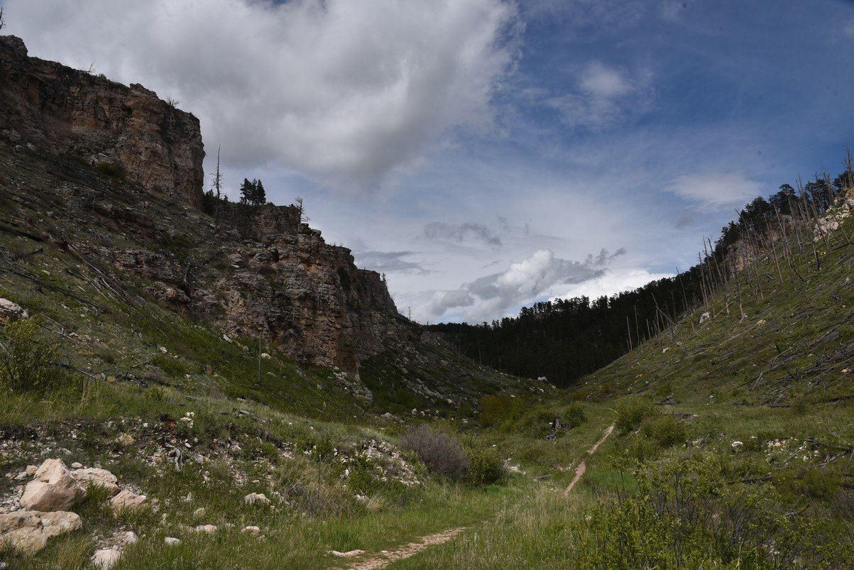dsc_6092_fs.jpg
