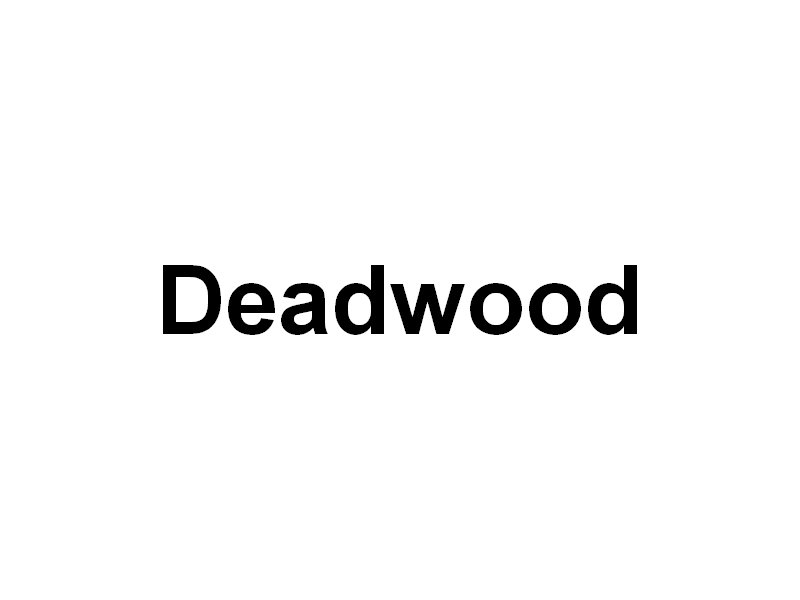 deadwoodsouthdakota.jpg