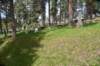 dsc_6256_fs_small.jpg
