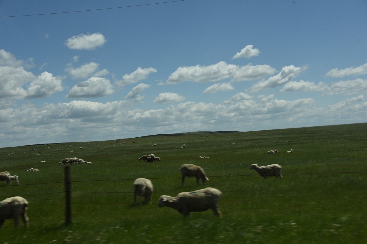 dsc_6383_fs.jpg