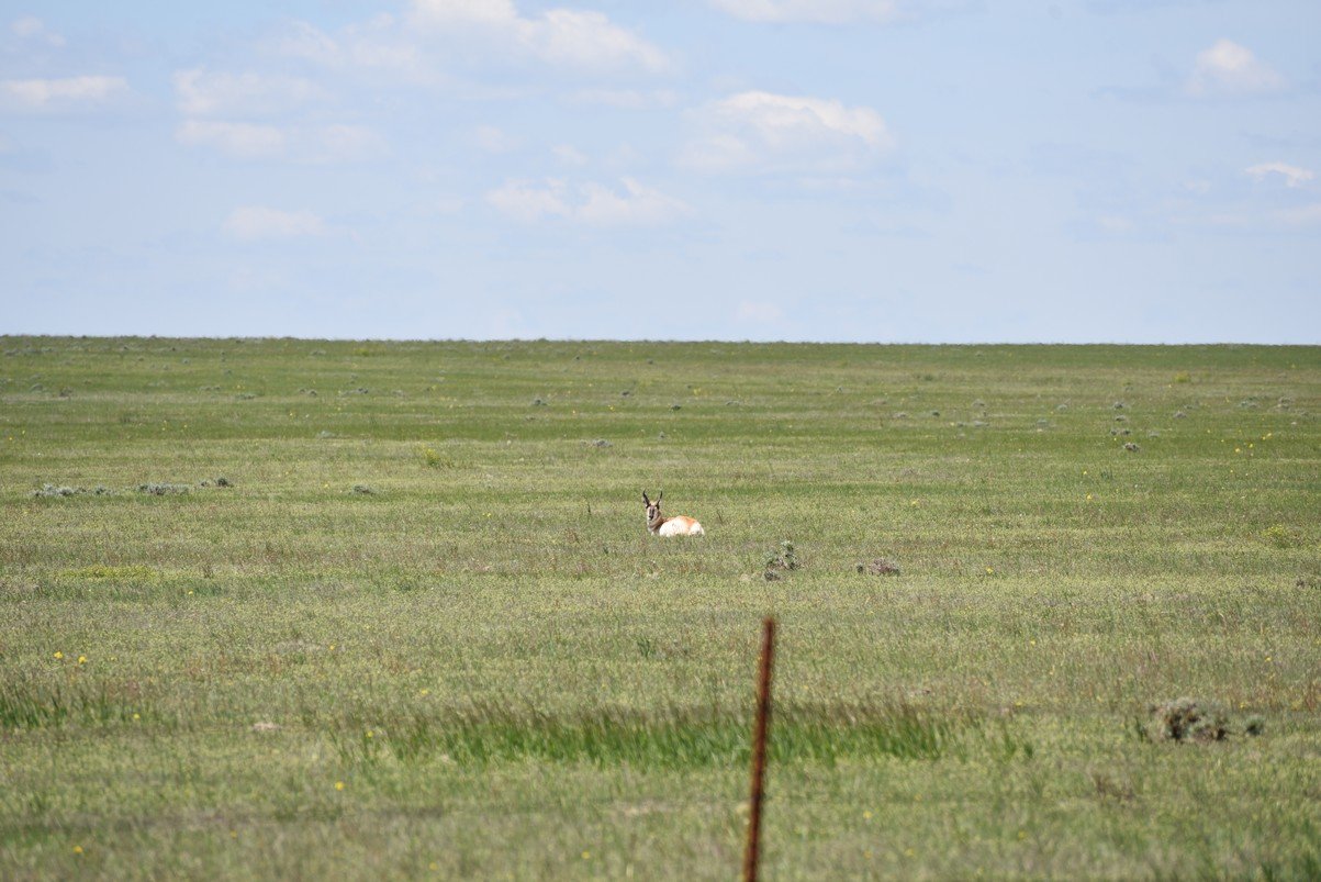 dsc_6416_fs.jpg