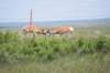 dsc_6429_fs_small.jpg