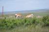 dsc_6431_fs_small.jpg