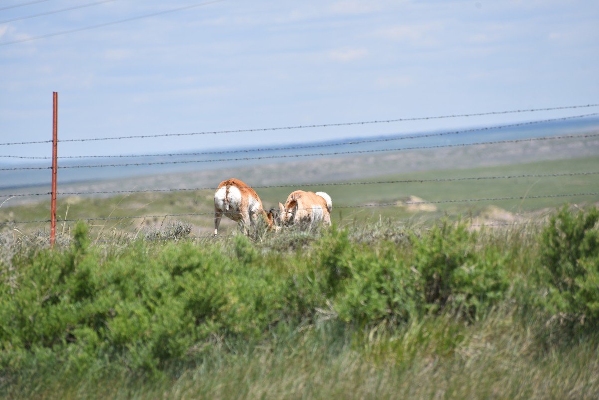 dsc_6433_fs.jpg