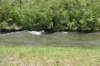 dsc_6461_fs_small.jpg
