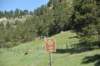 dsc_6467_fs_small.jpg