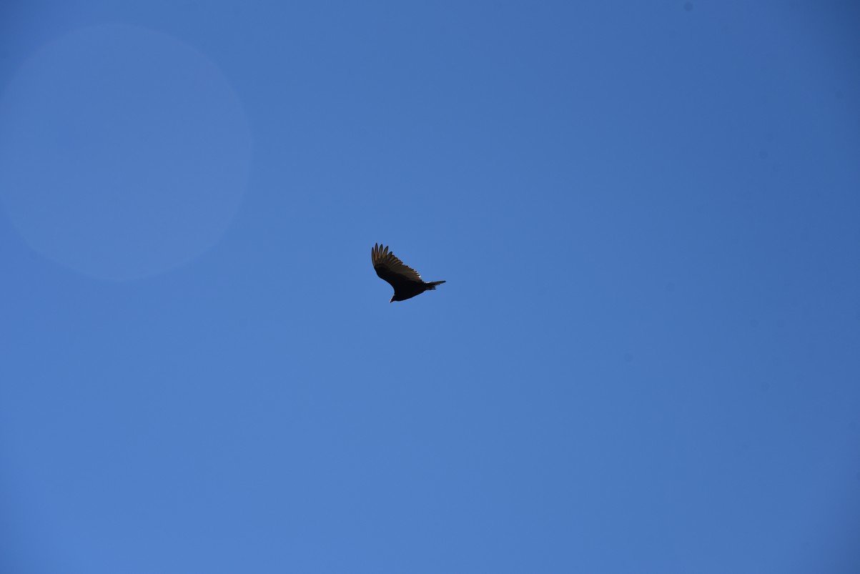 dsc_6497_fs.jpg