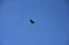 dsc_6497_fs_small.jpg