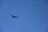 dsc_6498_fs_small.jpg