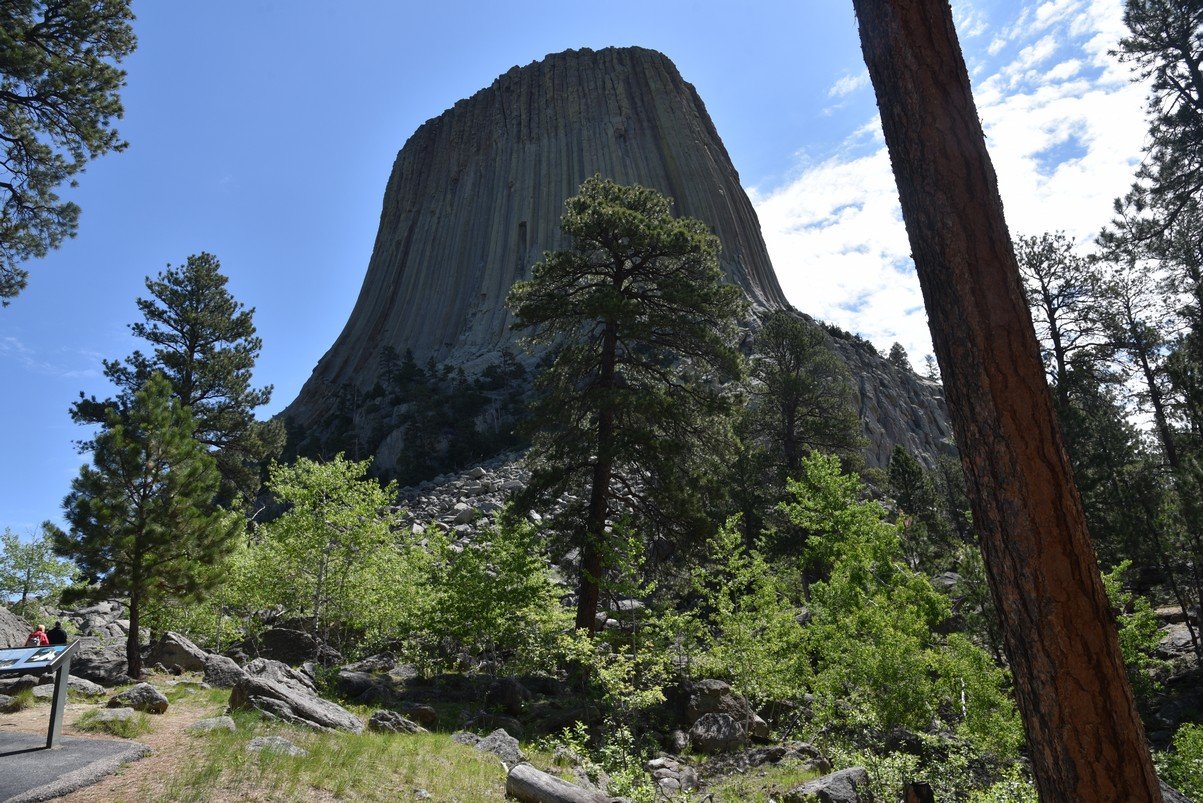 dsc_6764_fs.jpg