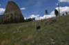 dsc_6925_fs_small.jpg