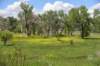 dsc_6936_fs_small.jpg