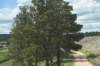 dsc_6945_fs_small.jpg