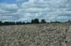 dsc_6946_fs_small.jpg
