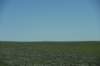 dsc_6969_fs_small.jpg