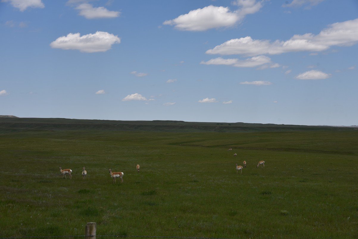 dsc_7113_fs.jpg