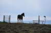 dsc_7168_fs_small.jpg