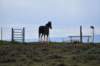 dsc_7169_fs_small.jpg