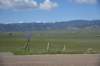 dsc_7222_fs_small.jpg