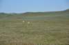 dsc_7242_fs_small.jpg