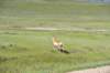 dsc_7248_fs_small.jpg