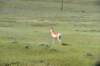 dsc_7249_fs_small.jpg
