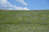 dsc_7262_fs_small.jpg
