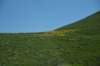 dsc_7263_fs_small.jpg