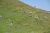 dsc_7264_fs_small.jpg