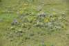 dsc_7265_fs_small.jpg