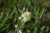 dsc_7286_fs_small.jpg