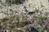 dsc_7287_fs_small.jpg