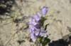 dsc_7288_fs_small.jpg
